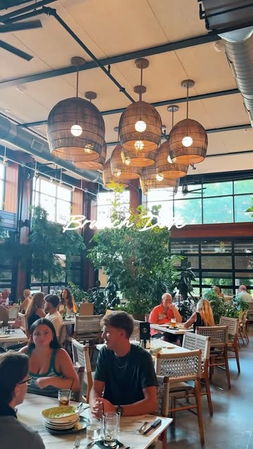A bright restaurant interior filled with plants and woven pendant lights